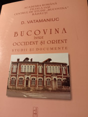 BUCOVINA INTRE OCCIDENT ?I ORIENT - STUDII SI DOCUMENTE - D. VATAMANIUC, 2006 foto