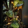 Instalatie de craciun cu baterii tip liniar, 2 jocuri de lumini, fir transparent 1 m 10 led -uri, alb cald, Flippy