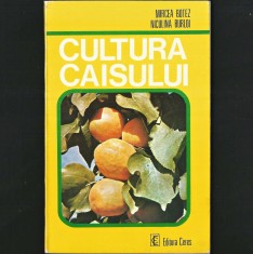 CULTURA CAISULUI - MIRCEA BOTEZ, NICULINA BURLOI - EDITURA CERES