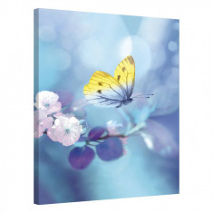Tablou Canvas, Tablofy, Butterfly Spring, Printat Digital, 70 &amp;times; 100 cm foto