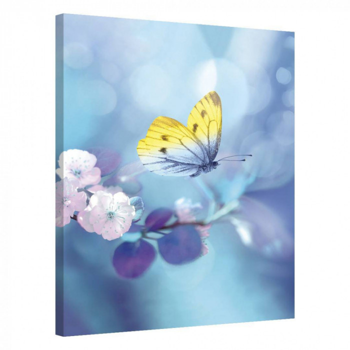Tablou Canvas, Tablofy, Butterfly Spring, Printat Digital, 50 &times; 70 cm