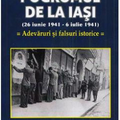 Pogromul de la Iasi (26 iunie 1941-6 iulie 1941). Adevaruri si falsuri istorice - Tesu Solomovici