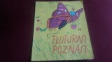 ILEANA CEAUSU - FLUTURASI POZNASI