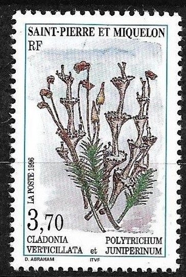 C4352 - Saint Pierre si Miquelon 1996 - Flora neuzat,perfecta stare
