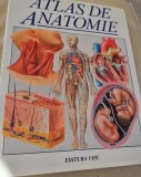 Atlas anatomie