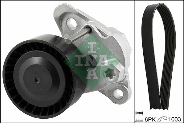 INA 529 0208 10 Set curea transmisie cu caneluri