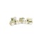 Trenulet modular cu animale, colectia Green, PolarB Viga