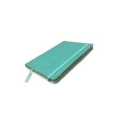 Ashridge A5 Elastic Pu Notebook Mint Green