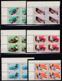 ROMANIA 1980 LP 1028 COLUMBOFILIE SERIA IN BLOCURI DE 4 TIMBRE MNH, Nestampilat