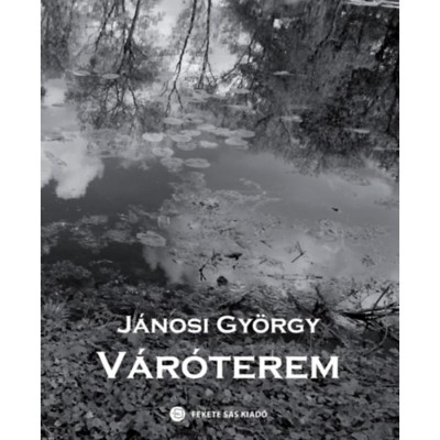 V&amp;aacute;r&amp;oacute;terem - J&amp;aacute;nosi Gy&amp;ouml;rgy foto