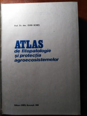 ATLAS DE FITOPATOLOGIE ?I PROTEC?IA AGROSISTEMELOR de I BOBES ED. CERES 1983 foto