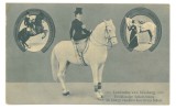 3776 - LEOKADIA, Romanian Circus, EQUITY, Romania - old postcard - unused, Necirculata, Printata
