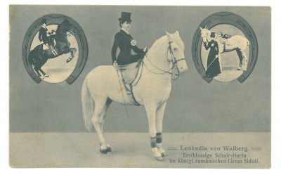 3776 - LEOKADIA, Romanian Circus, EQUITY, Romania - old postcard - unused foto
