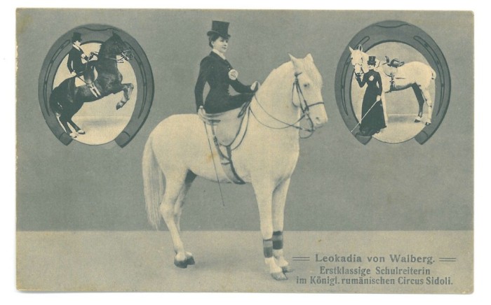 3776 - LEOKADIA, Romanian Circus, EQUITY, Romania - old postcard - unused