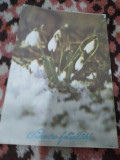 CARTE POSTALA -FELICITARE SARBATORI