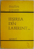 Cumpara ieftin Iesirea din labirint... Eseuri &ndash; Dumitru Popescu