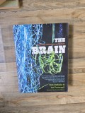 The Brain - Rob DeSalle &amp; Ian Tattersall