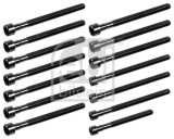 FEBI BILSTEIN 178284 Set surub, chiulasa
