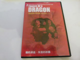 Traces of a dragon, DVD, Engleza