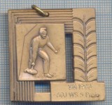 AZ 194 MEDALIE SPORTIVA -JOC TRADITIONAL AUSTRIAC IN GENUL CURLING -1983