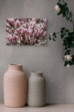 Tablou Canvas, "Magnolii &icirc;n floare la &icirc;nceput de primăvară", Magnolii, Roz, Flori, Primăvară, Ramuri, Delicatețe, Natură, Petale, Frumusețe, Vechi, Gr