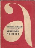 Pensiunea Camelia - Gheorghe Buzoianu