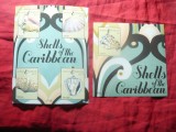 2 Blocuri Antigua si Barbuda 2011 - Scoici Caraibe