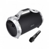 Boxa Karaoke Portabila Astrum ST400, 25W, FM, MicroSD, Multimedia