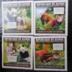 Guineea -Fauna ,ursi panda-serie completa ,MNH