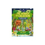 The Wonder of Creation: 100 More Devotions about God and Science