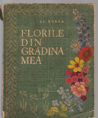 C8457 FLORILE DIN GRADINA MEA DE AL. BORZA foto