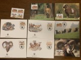 Cipru - muflon - serie 4 timbre MNH, 4 FDC, 4 maxime, fauna wwf