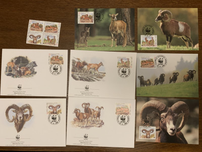 cipru - muflon - serie 4 timbre MNH, 4 FDC, 4 maxime, fauna wwf foto