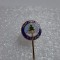 insigna Bradul Viseu