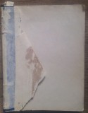 Diagnosele planteloru fanerogame si criptogame vasculare - Florianu Porcius/1893