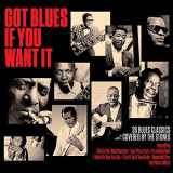 Got Blues If You Want It | Various Artists, Not Now Music