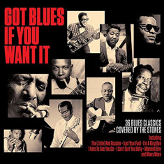 Got Blues If You Want It | Various Artists