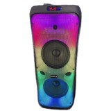 Boxa karaoke cu amplificator 100W