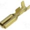 Terminal tip plat, pentru surub {{Orificiu pentru &amp;#351;urub}}, VOGT - 3766.60