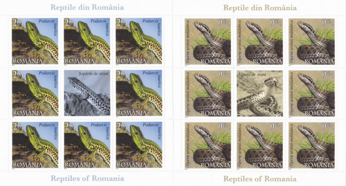 REPTILE DIN ROMANIA,MINICOLI DE 8 TIMBRE + VINIETA,2011,Lp.1887d,MNH **,ROMANIA