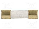 Siguranţă &icirc;nt&acirc;rziere 1A 250VAC 300VDC SMD 5x20mm SCHURTER