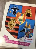 CPIF Stema cu timbru al judetului Maramures