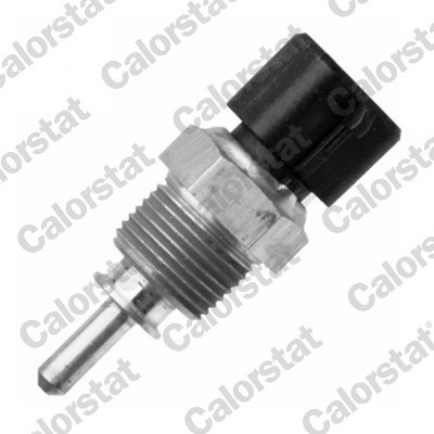 CALORSTAT by Vernet WS3101 senzor,temperatura lichid de racire foto