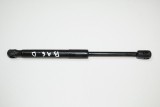 Amortizor haion dreapta MERCEDES-BENZ SLK R171 2005 | 2109778