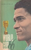 Carte Ioan Chirila - World Cup 1966, An 1966, 182 pagini, Dimensiune 13x20 cm, Limba Romana, Brosata