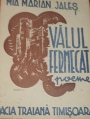 VALUL FERMECAT MIA MARIAN JALES BANAT,TIMISOARA