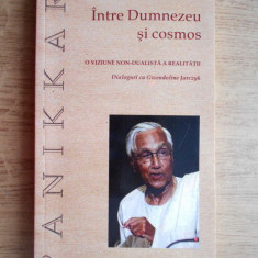 Raimon Panikkar - Intre Dumnezeu si cosmos. O viziune non-dualista a realitatii