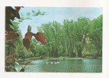 RF50 -Carte Postala- Pitesti, parcul Trivale, circulata 1976