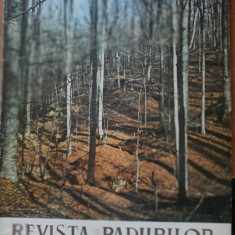 Revista pădurilor Nr. 11 / 1971