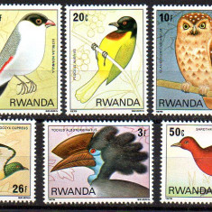 Rwanda 1980, Fauna - Pasari, serie neuzata, MNH